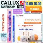   Callux Pro tanfolyam Nagykanizsán Attilával Szeptember 27-én