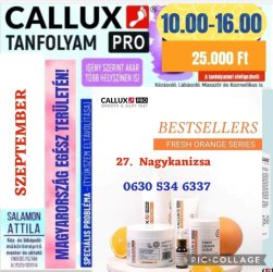 Callux Pro tanfolyam Nagykanizsán Attilával Szeptember 27-én