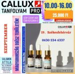   Callux Pro tanfolyam Székesfehérváron Attilával Szeptember 19- én ! 