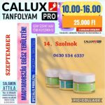   Callux Pro tanfolyam Szolnokon Attilával Szeptember 14- én !