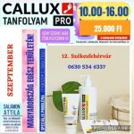   Callux Pro tanfolyam  Székesfehérváron Attilával  Szeptember 12- én!