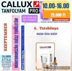 Callux Pro tanfolyam Tatabányán  Attilával  Szeptember 6-án!
