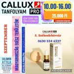   Callux Pro tanfolyam Székesfehérváron Attilával Szeptember 5.