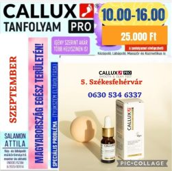 Callux Pro tanfolyam Székesfehérváron Attilával Szeptember 5.
