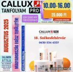   Callux Pro tanfolyam Székesfehérváron Attilával Augusztus 18.