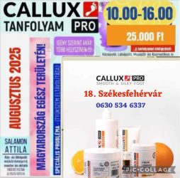Callux Pro tanfolyam Székesfehérváron Attilával Augusztus 18.