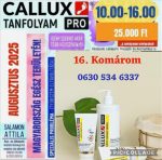 Callux Pro tanfolyam Komáromban Attilával !