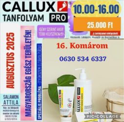 Callux Pro tanfolyam Komáromban Attilával !