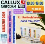 Callux Pro tanfolyam Székesfehérváron Attilával !
