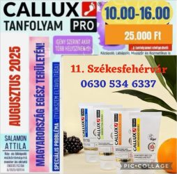Callux Pro tanfolyam Székesfehérváron Attilával !