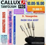 Callux Pro tanfolyam Veszprémben  Attilával !