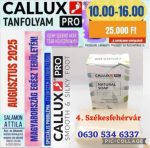 Callux Pro tanfolyam Székesfehérváron Attilával !