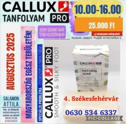 Callux Pro tanfolyam Székesfehérváron Attilával !