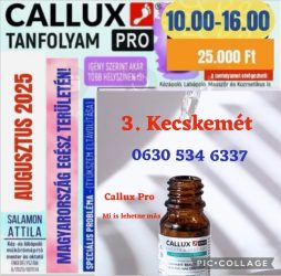 Callux Pro tanfolyam Kecskeméten Attilával !